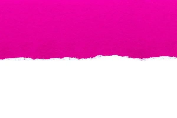 White paper with torn edges isolated with a bright pink color paper background inside. Good paper texture