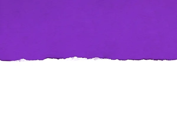 White paper with torn edges isolated with a bright violet color paper background inside. Good soft smooth paper texture.