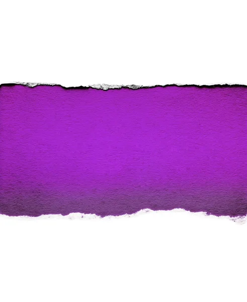 Carta bianca con bordi strappati isolati con uno sfondo di carta di colore viola brillante all'interno. Buona consistenza della carta tagliente . — Foto Stock