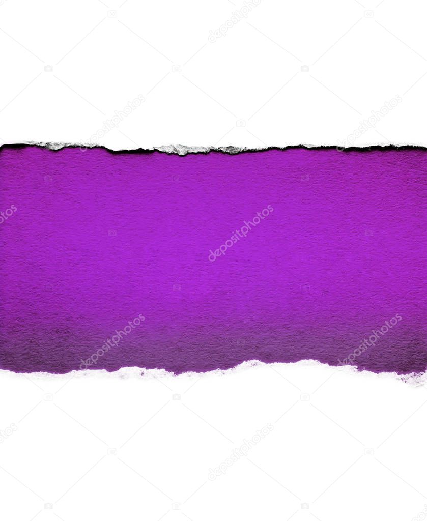 White paper with torn edges isolated with a bright violet color paper background inside. Good sharp paper texture.