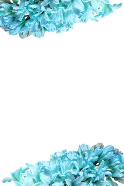 กรอบแนวตั้งของดอกไม้ hyacinth สีฟ้าที่มีพื้นหลังสีขาวโดดเดี่ยวในศูนย์กลางสําหรับข้อความตัวอักษร ภาพถ่ายขนาดใหญ่ . — ภาพถ่ายสต็อก