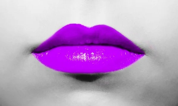 女性唇特写 紫色紫罗兰口红 色彩艳丽 底色黑白相间 — 图库照片