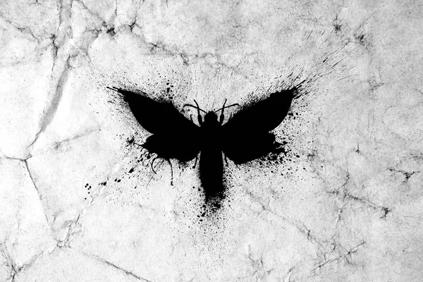 Silueta Negra Una Mariposa Con Salpicaduras Pintura Salpicaduras Manchas Sobre — Foto de Stock