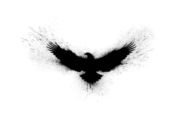 Μαύρη Σιλουέτα Ιπτάμενου Αετού Ανοιχτά Φτερά Πιτσιλιές Μπογιάς Πιτσιλιές Και — Φωτογραφία Αρχείου