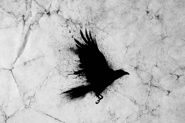 Silueta Cuervo Volador Con Alas Extendidas Con Salpicaduras Pintura Salpicaduras — Foto de Stock