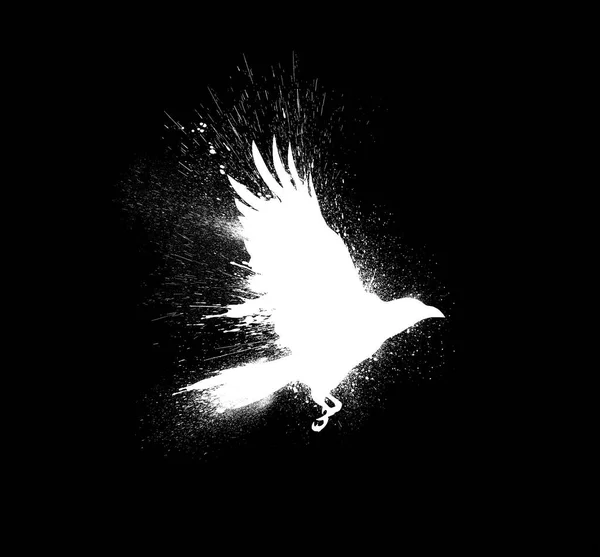 Sílhueta Branca Corvo Voador Com Asas Abertas Com Salpicos Tinta — Fotografia de Stock