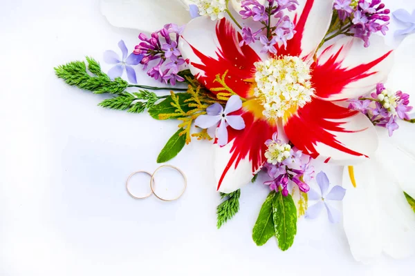 Coloridas flores de primavera aisladas sobre fondo blanco . — Foto de Stock