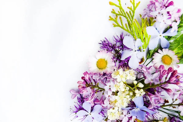Πολύχρωμα Ανοιξιάτικα λουλούδια που απομονώνονται σε λευκό φόντο. — Φωτογραφία Αρχείου