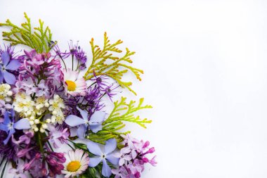 Beyaz arka plan üzerinde izole renkli bahar çiçekleri.