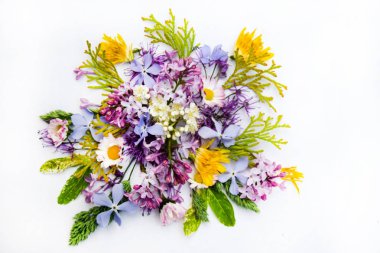 Beyaz arka plan üzerinde izole renkli bahar çiçekleri.