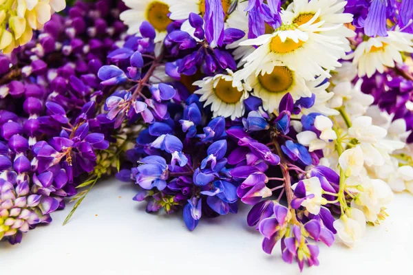 Flores silvestres sobre un fondo blanco. Campanillas, manzanilla y altramuces — Foto de Stock