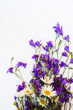 Çiçekler beyaz zemin üzerinde. Bellflowers, papatya ve lupine