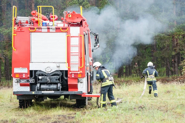 Bomberos entrenados para extinguir un bosque en llamas —  Fotos de Stock