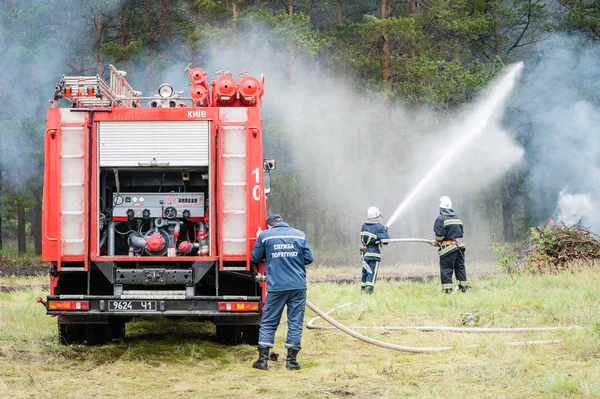 Firefighters trained to extinguish a burning forest — Stock Photo, Image