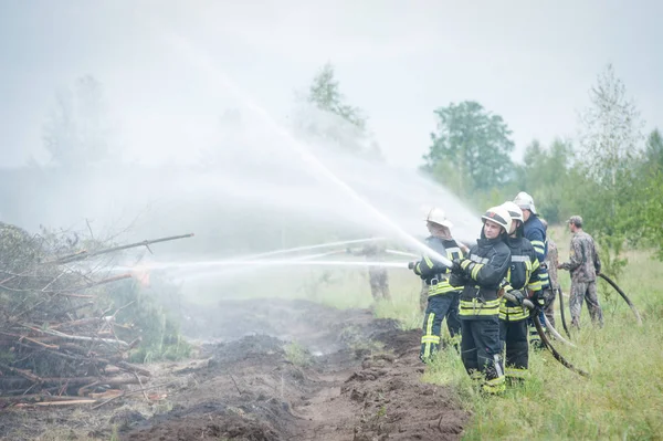 Firefighters trained to extinguish a burning forest — Stock Photo, Image