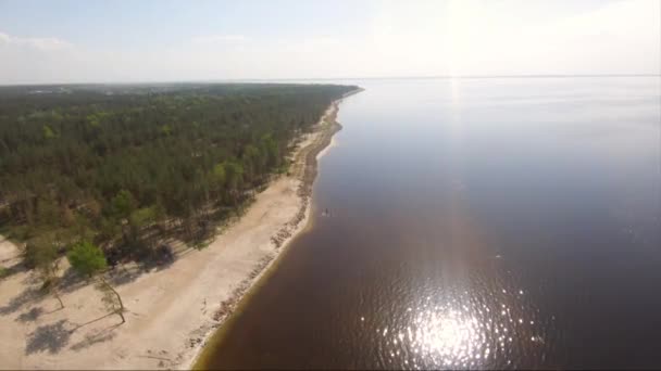 Légifelvételek Kiev Tározó Gyönyörű Táj Repülés Alatt Erdő Beach — Stock videók