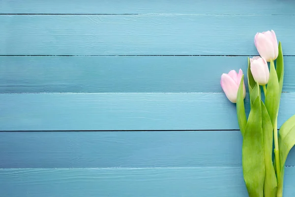 理事会の春の花 — ストック写真