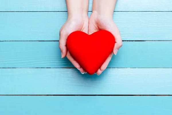 Red heart in hands on a blue background — Stock Photo, Image