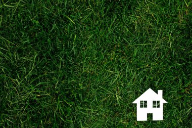 ev yeşil arka planı