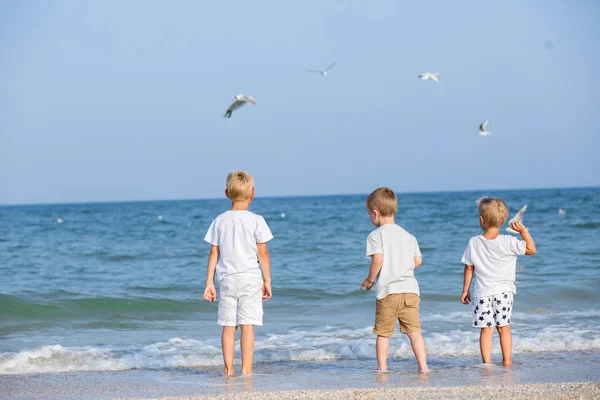 Vista Trasera Tres Hermanos Playa Felices Vacaciones Familia Junto Mar — Foto de Stock