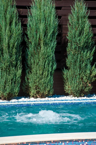 Бассейн на открытом воздухе с хвойными деревьями — стоковое фото