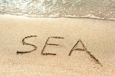 Denizin kumlarında yazılı.