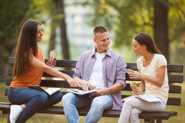 Studenti v parku Stock Snímky