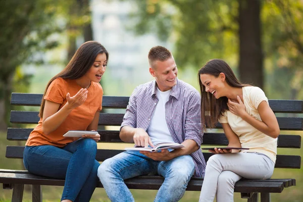 Friends in park — Stock Photo, Image