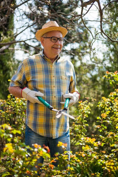 Hombre mayor Jardinería — Foto de Stock