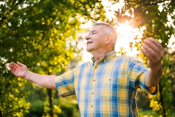 Senior im Park — Stockfoto