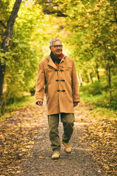 Senior man in park — Stock Photo, Image