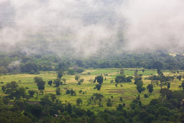 Sri Lankai Dzsungelben Trópusi Esőerdő Felhők Köd — Stock Fotó