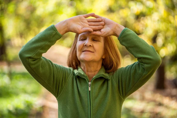 Mulher Sênior Está Praticando Exercício Tai Chi Parque — Fotografia de Stock