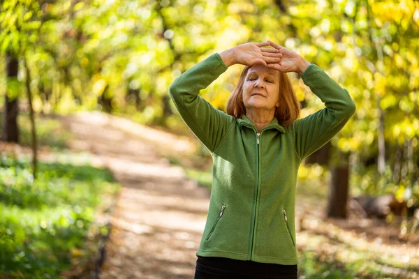 Mulher Sênior Está Praticando Exercício Tai Chi Parque — Fotografia de Stock