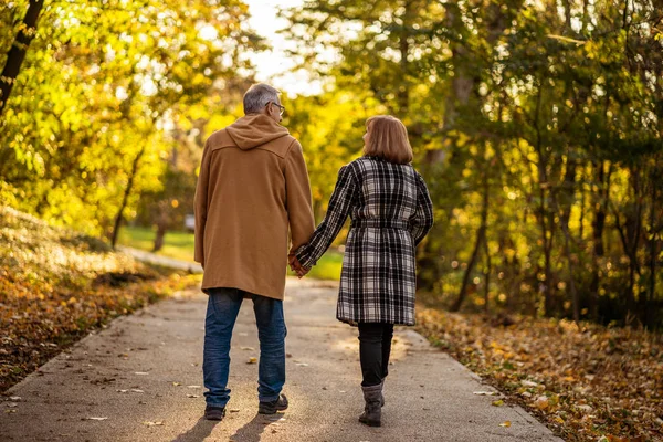 Romantica Coppia Anziani Sta Camminando Nel Parco Autunno — Foto Stock