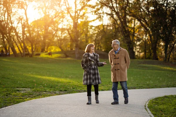 Felice Coppia Anziani Sta Camminando Nel Parco Autunno — Foto Stock