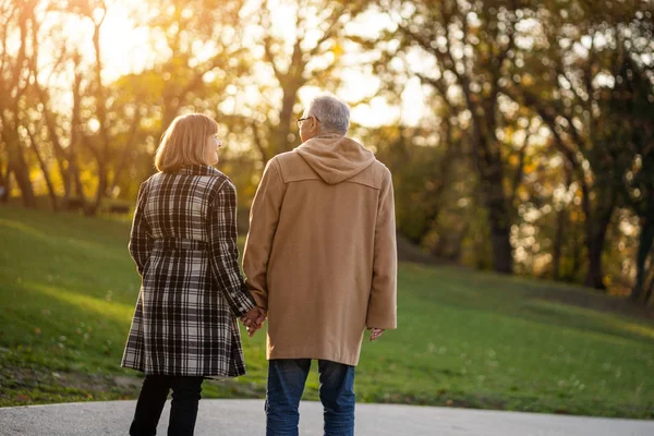 Casal Sênior Romântico Está Andando Parque Outono — Fotografia de Stock