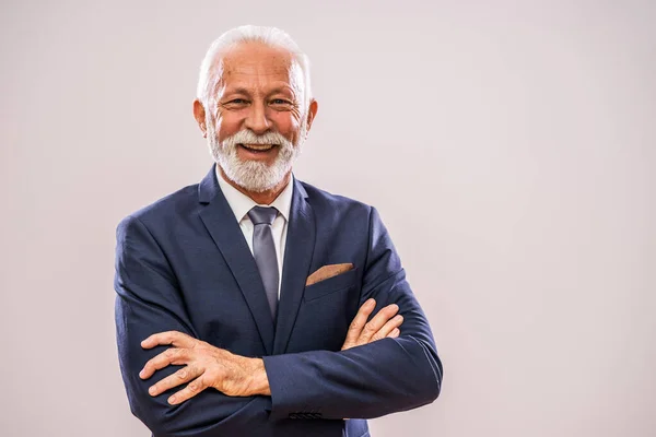 Portrait Happy Successful Senior Businessman — Stock Photo, Image