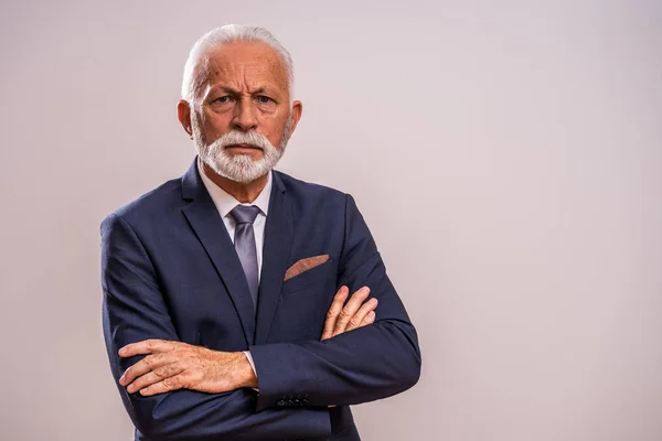Portrait Serious Authoritative Senior Businessman — Stock Photo, Image