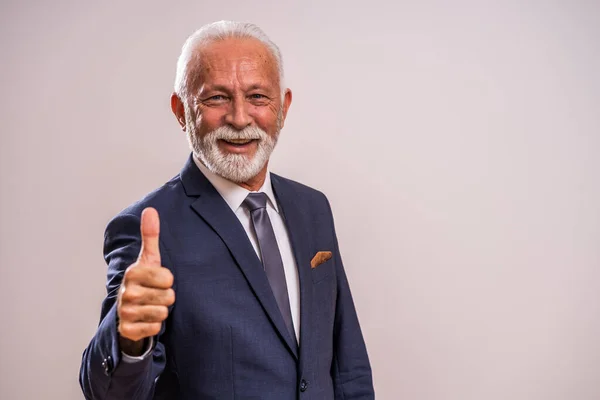 Portrait Happy Successful Senior Businessman — Stock Photo, Image