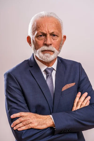 Porträt Eines Seriösen Und Maßgeblichen Geschäftsmannes — Stockfoto