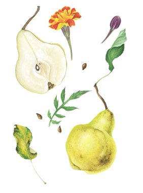 Sarı armut ve marigolds