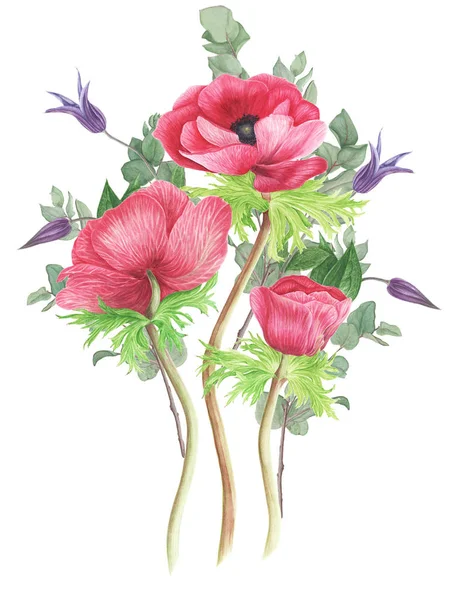 Букет Блакитних Рожевих Квітів Анемони Клематиси Гілки Евкаліпта Акварельний Живопис — стокове фото