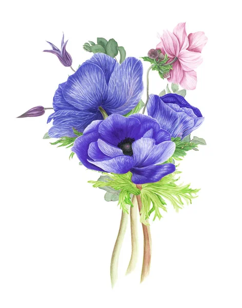 Bukett Blu Och Rosa Blommor Anemoner Och Klematis Akvarell Målning — Stockfoto