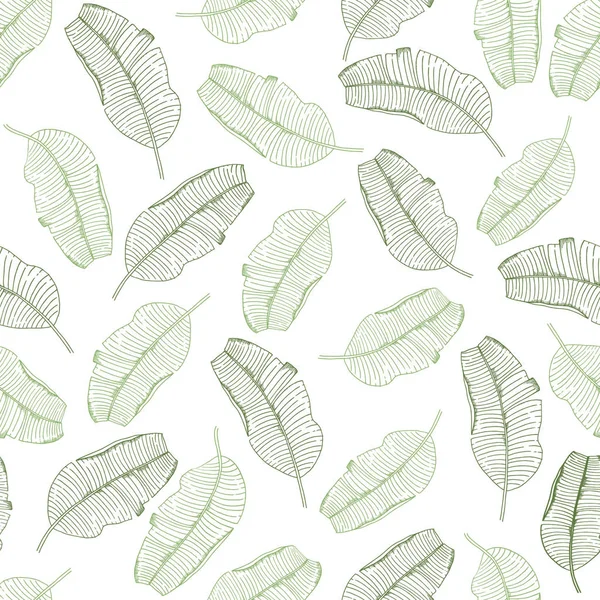 Patrón Vectorial Sin Costuras Con Hojas Plátano Magnolia Ilustración Botánica — Vector de stock