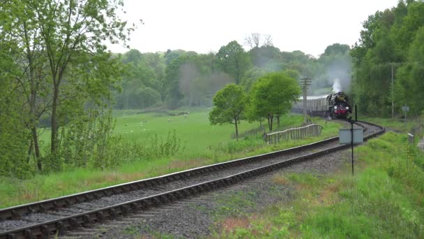 Pociąg Parowy Orient Express Przejeżdżający Przez Angielską Wieś — Wideo stockowe
