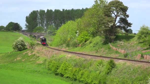 高速で英語の田舎を走る蒸気機関車 — ストック動画