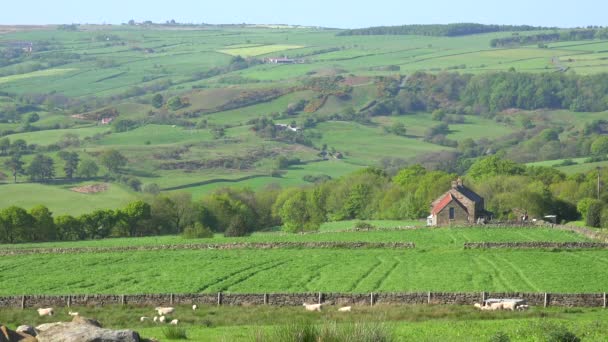 非常に趣のあるコテージは イングランド アイルランド ウェールズ スコットランドの農村を構成しています — ストック動画