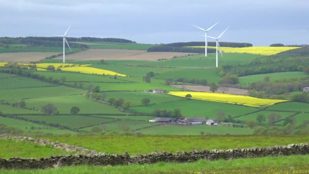 Een Windmolenpark Engeland Wekt Elektriciteit Tussen Akkers — Stockvideo