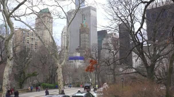 Wagony Konne Poruszają Się Central Parku Nowym Jorku — Wideo stockowe